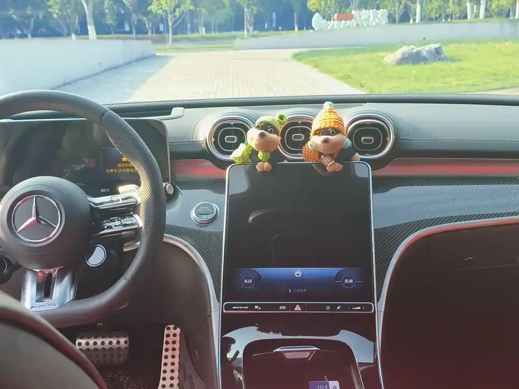 Mercedes-Benz C-Class AMG 2024 из CN, фото 6