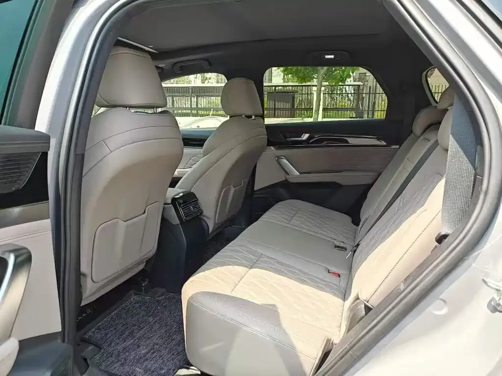 BYD Tang New Energy 2024 из CN, фото 5