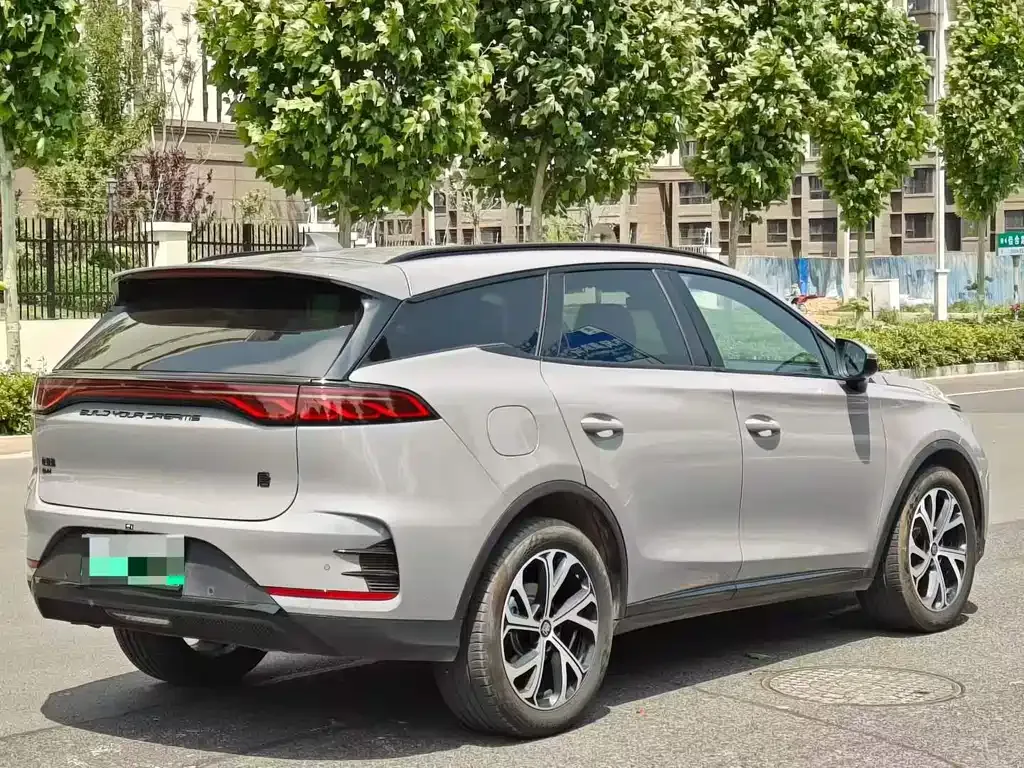 BYD Tang New Energy 2024 из CN, фото 3