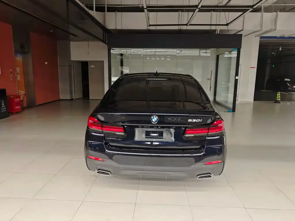 BMW 5 Series (Import) 2022 из CN, фото 3
