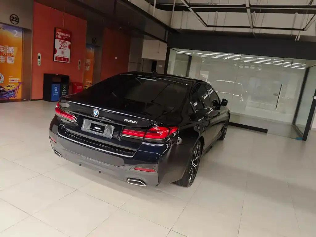 BMW 5 Series (Import) 2022 из CN, фото 7