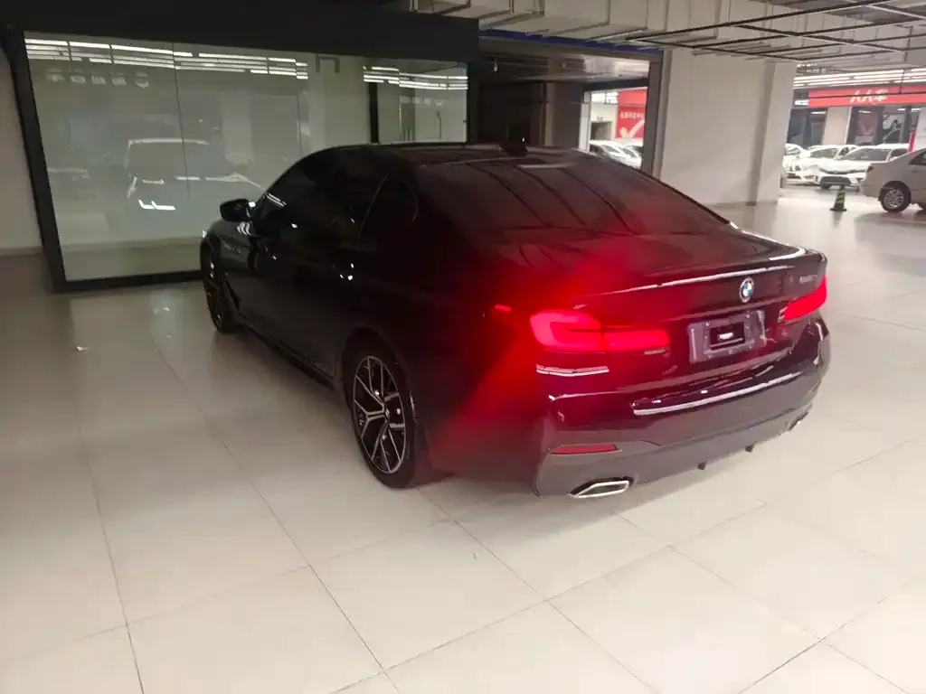 BMW 5 Series (Import) 2022 из CN, фото 2