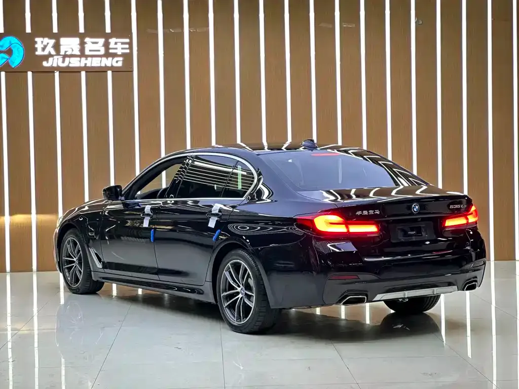 BMW 5 Series New Energy 2022 из CN, фото 3