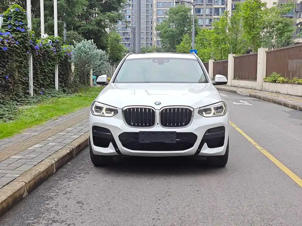 BMW X3 2021 из CN, фото 10