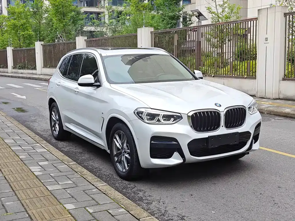 BMW X3 2021 из CN, фото 9