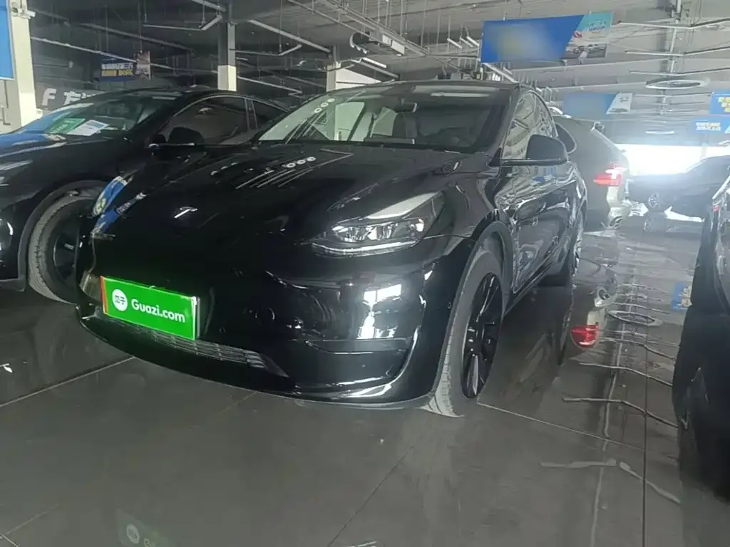 Tesla Model Y — фото 10
