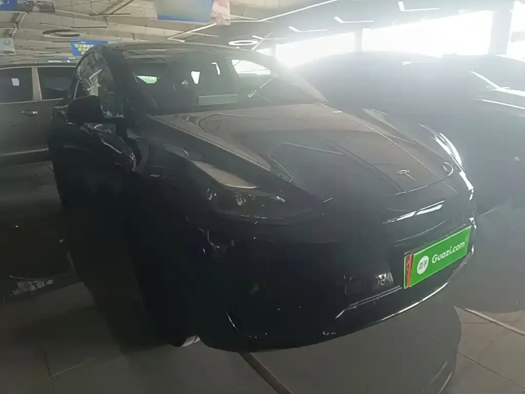 Tesla Model Y — фото 6