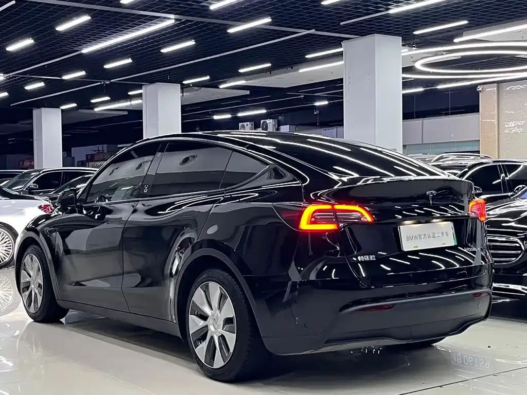 Tesla Model Y — фото 9