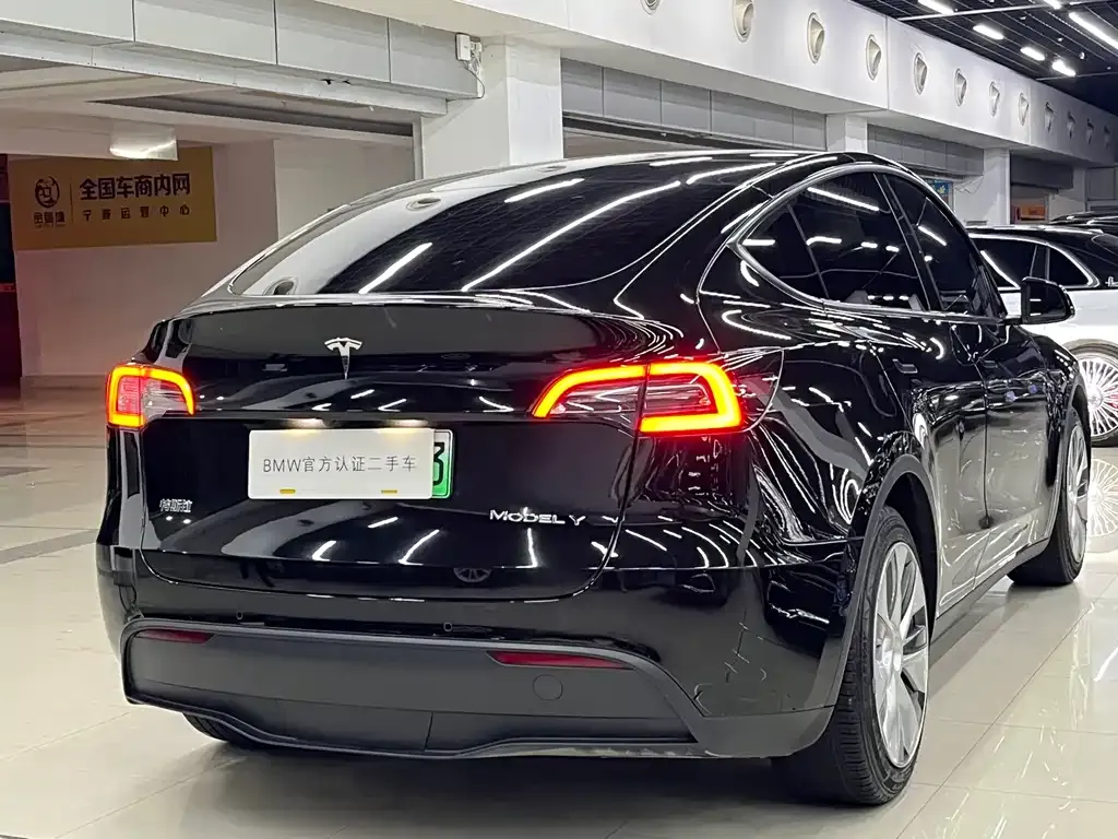 Tesla Model Y — фото 7