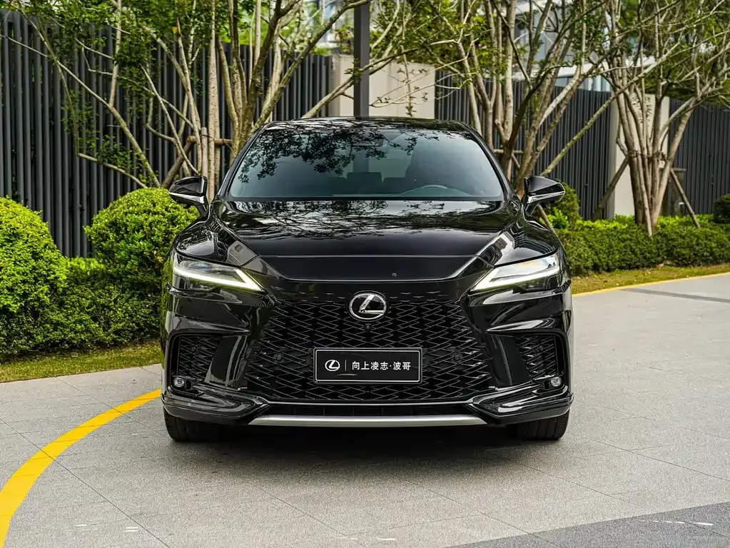Lexus RX — фото 7
