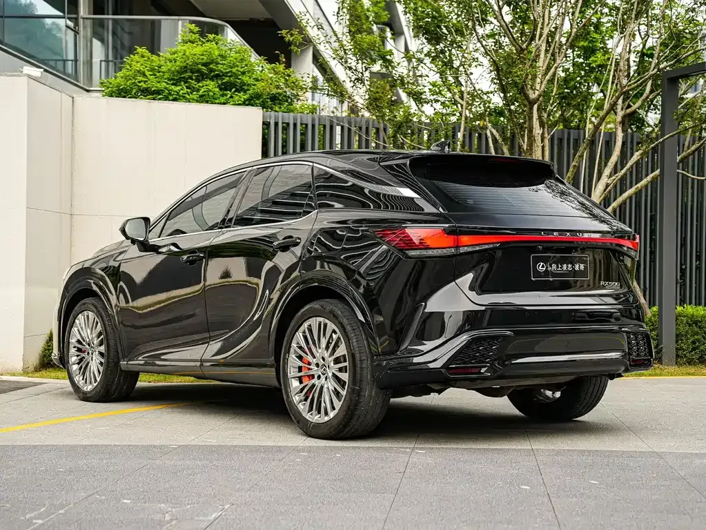 Lexus RX — фото 10