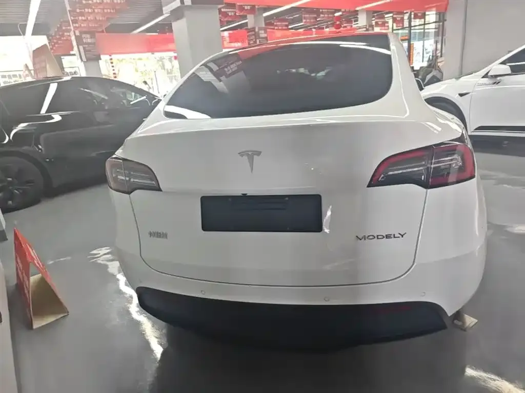 Tesla Model Y — фото 9