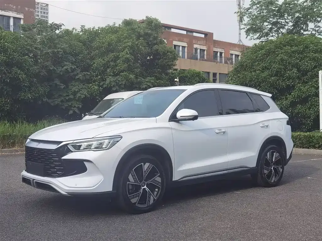 BYD Pro New Energy — фото 1