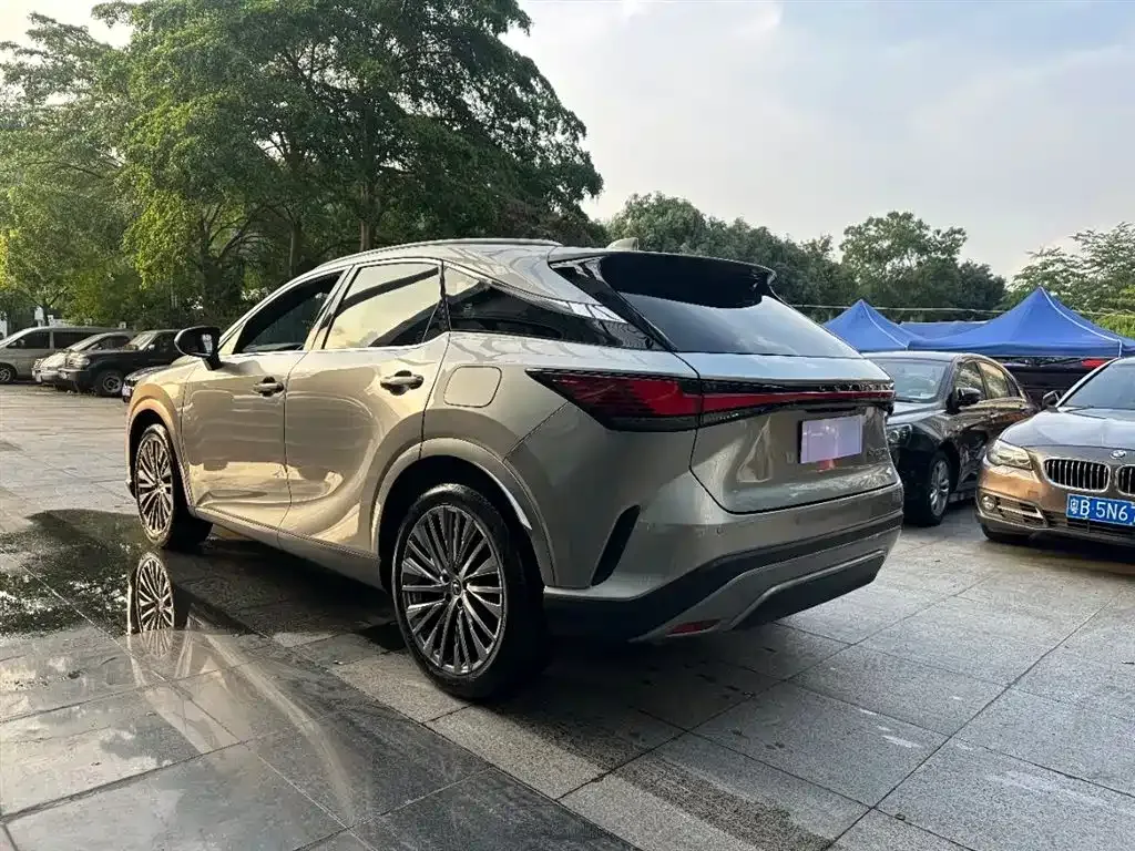 Lexus RX — фото 10