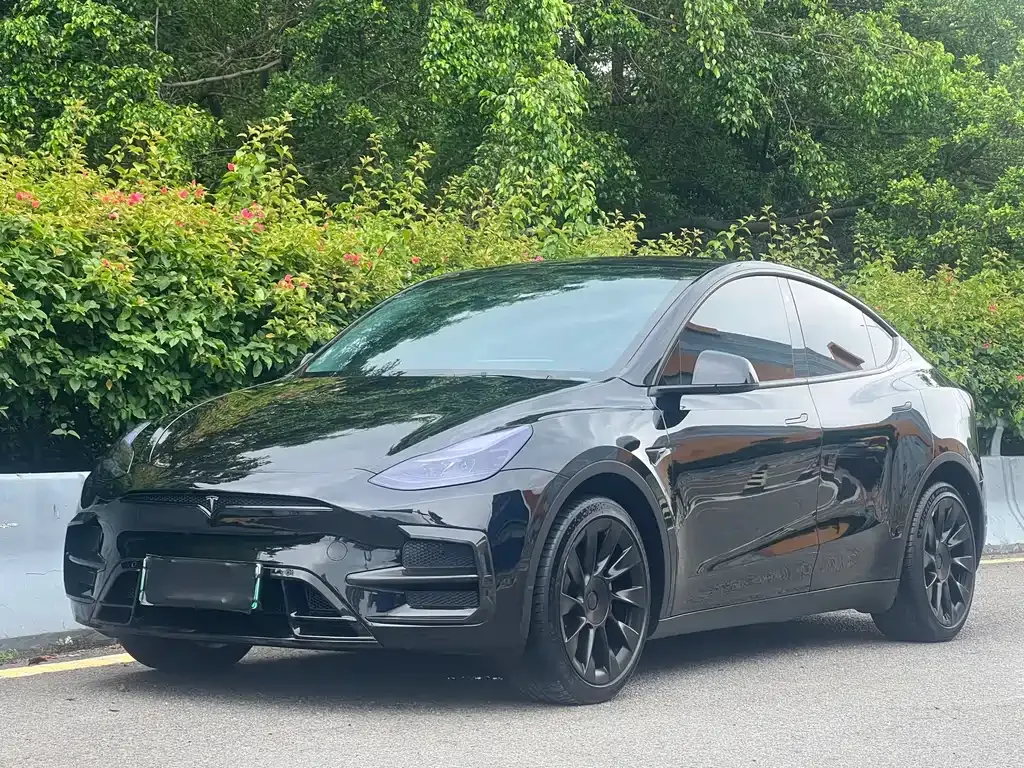 Tesla Model Y — фото 1