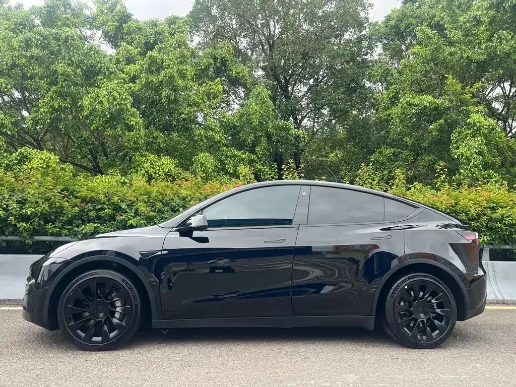 Tesla Model Y — фото 2