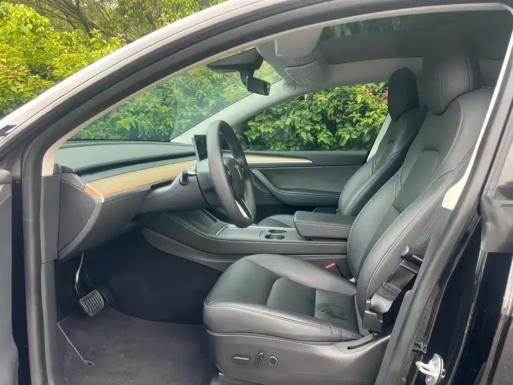 Tesla Model Y — фото 10