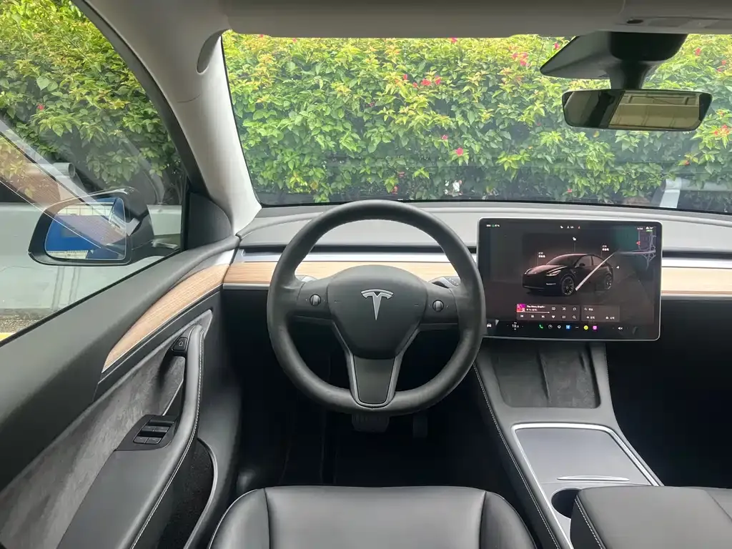 Tesla Model Y — фото 9