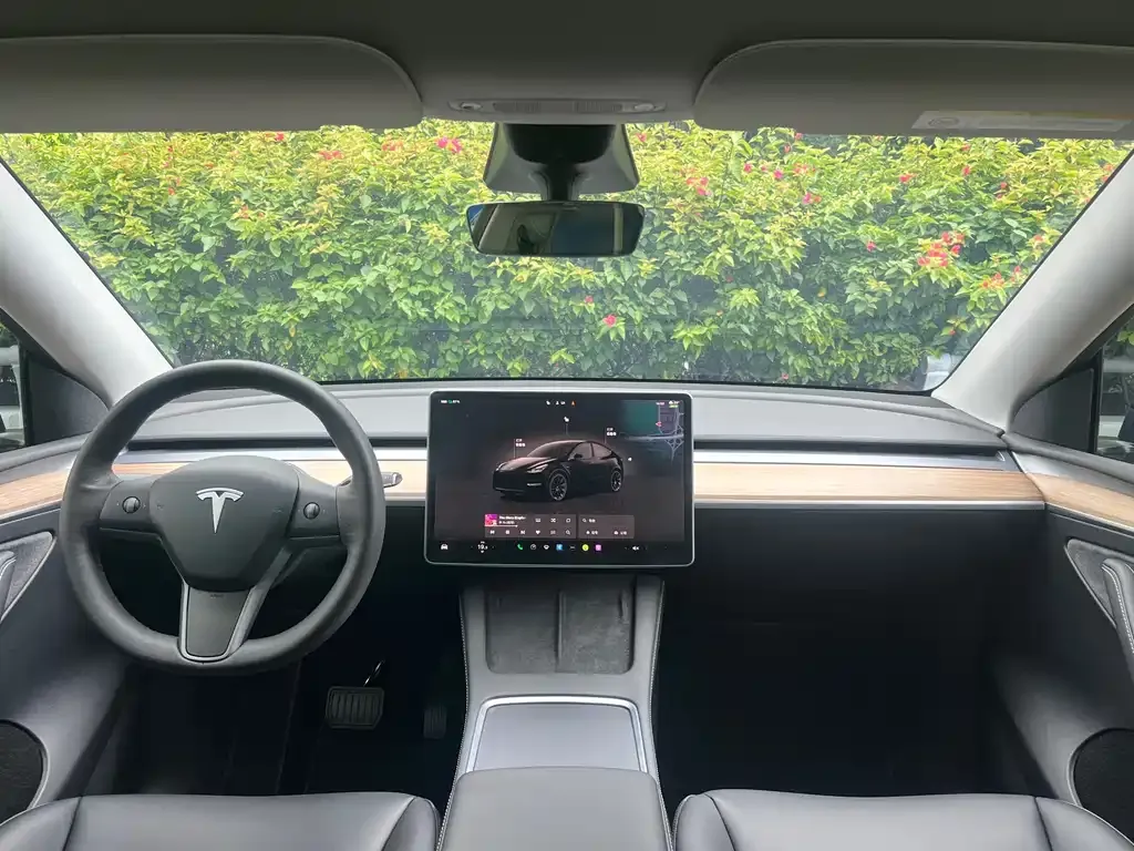 Tesla Model Y — фото 8