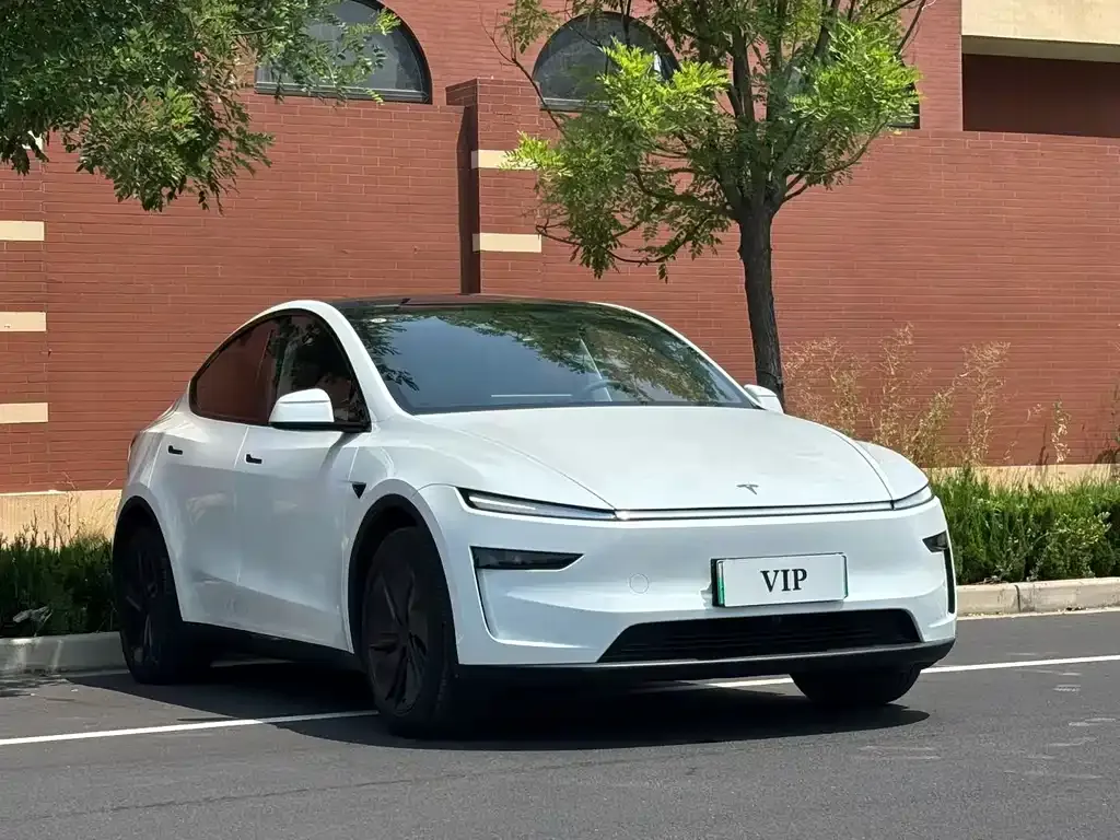 Tesla Model Y — фото 2