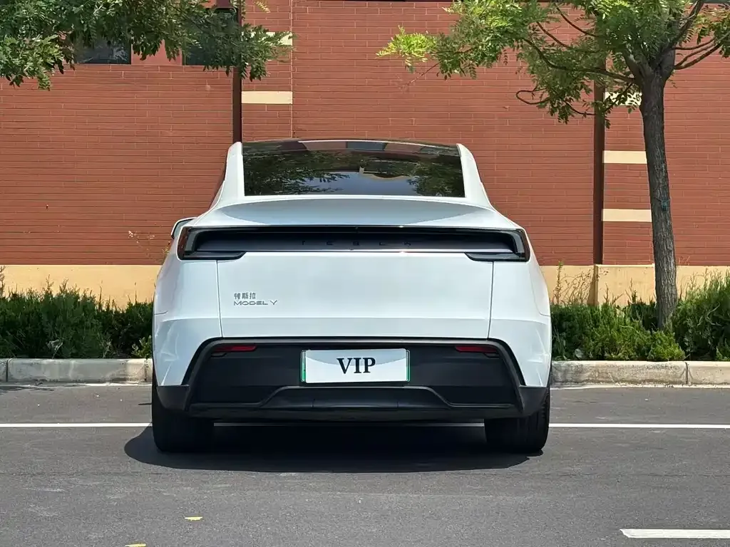 Tesla Model Y — фото 6