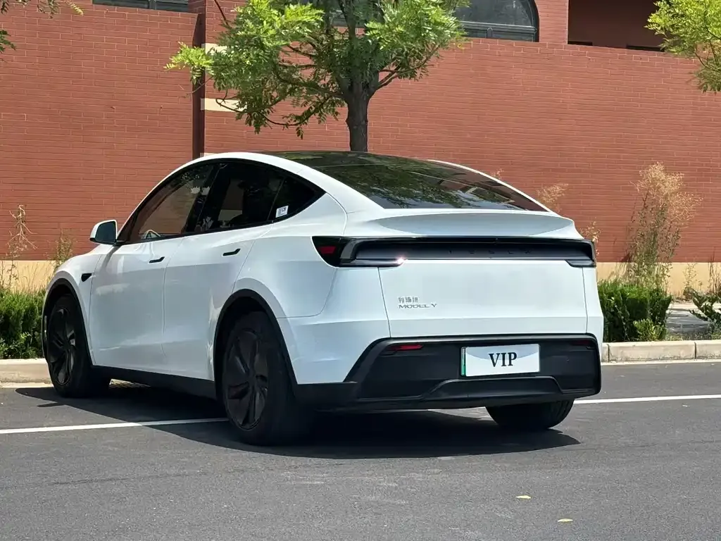 Tesla Model Y — фото 9