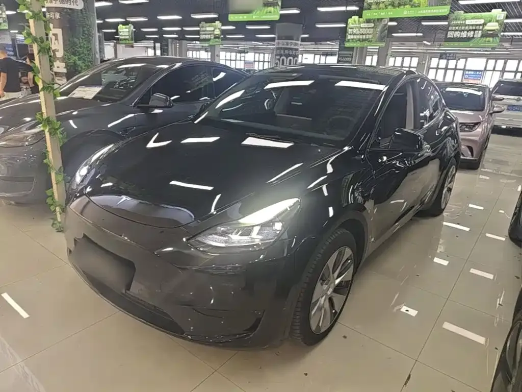 Tesla Model Y — фото 9
