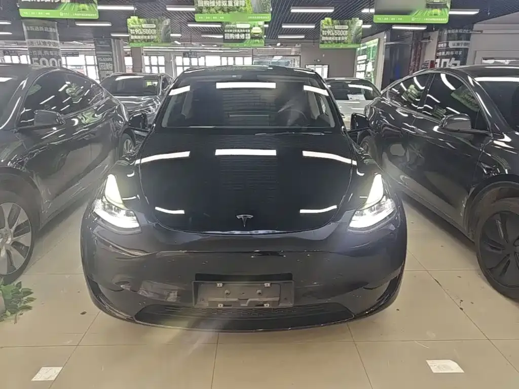 Tesla Model Y — фото 2