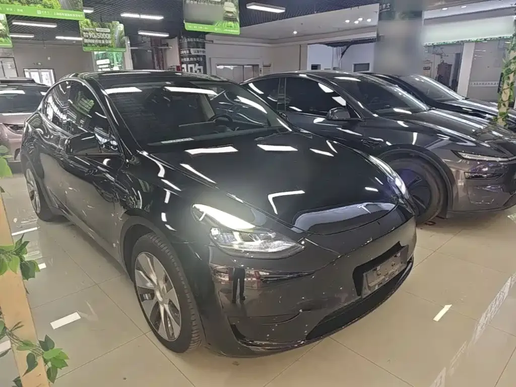 Tesla Model Y — фото 8