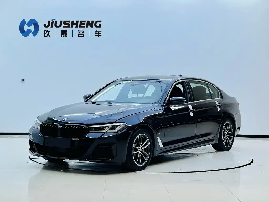 BMW 5 Series New Energy