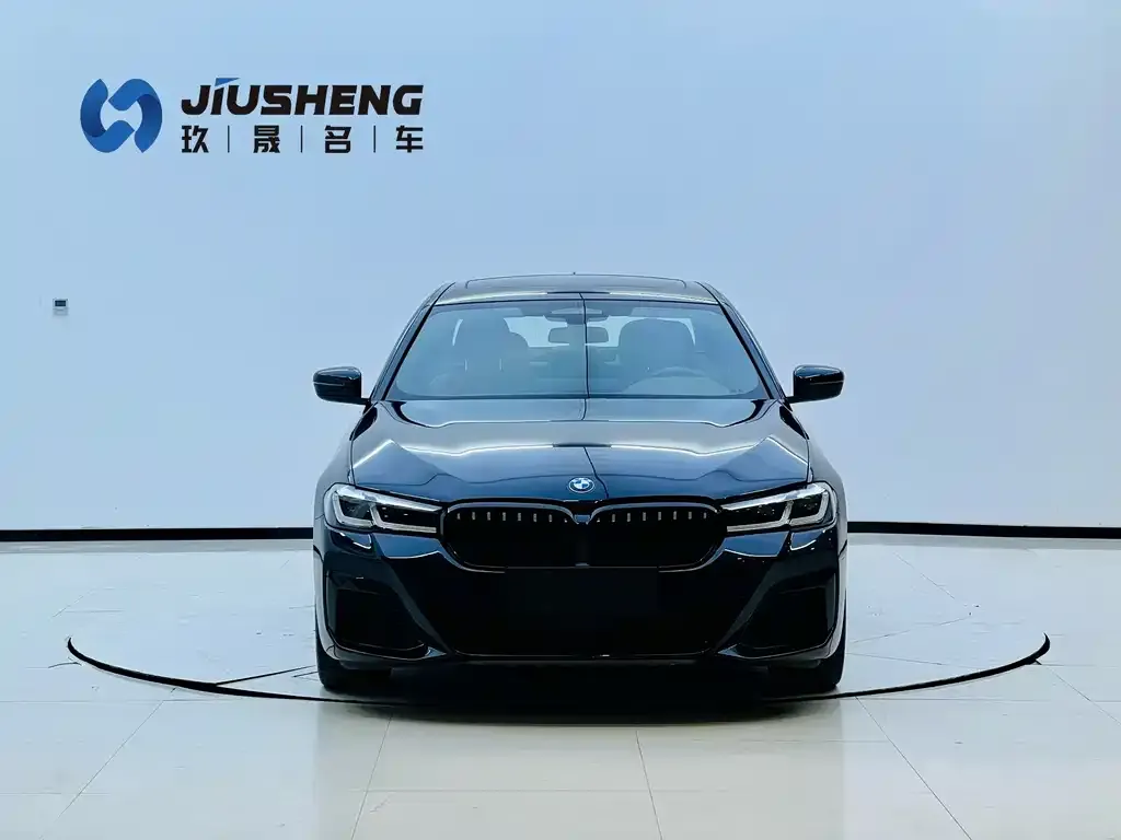 BMW 5 Series New Energy 2021 из CN, фото 3