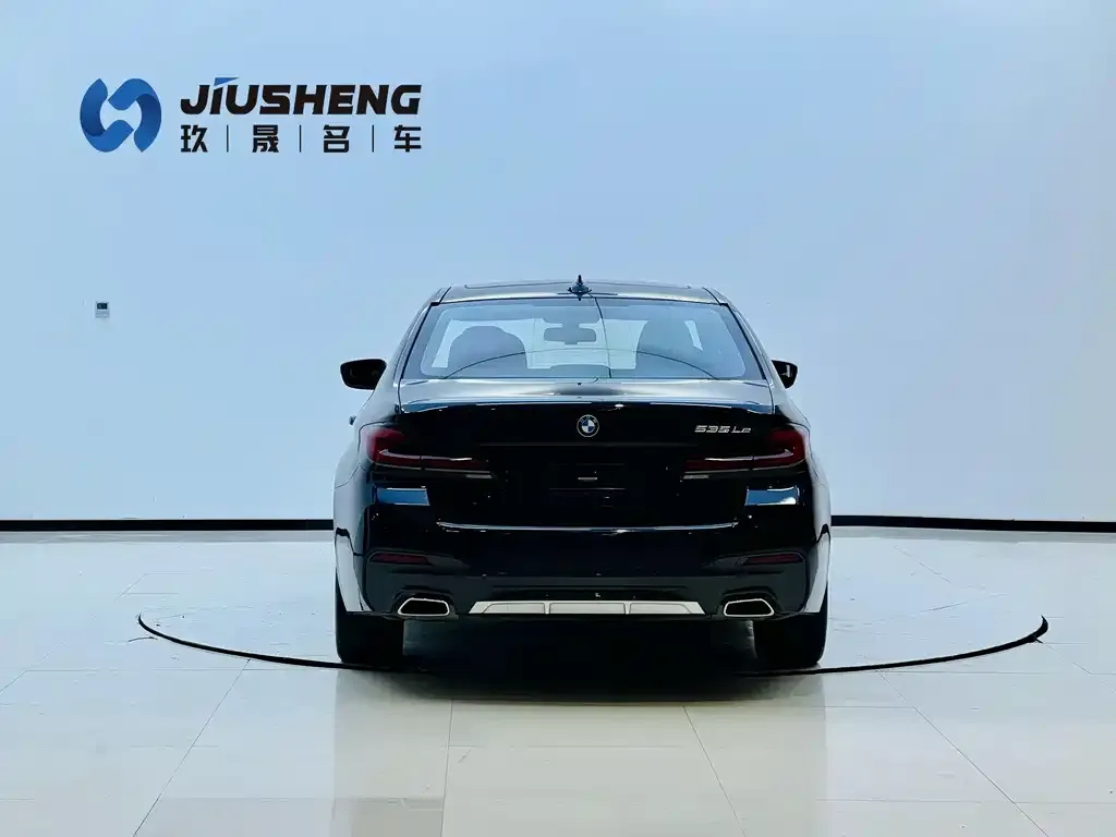 BMW 5 Series New Energy 2021 из CN, фото 4