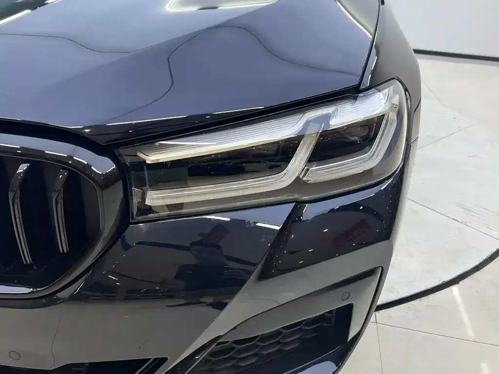BMW 5 Series New Energy 2021 из CN, фото 6