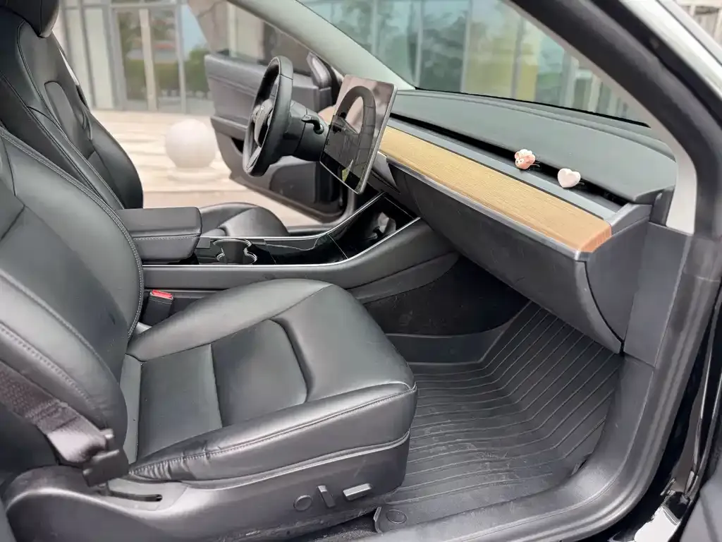 Tesla Model 3 2023 из CN, фото 3