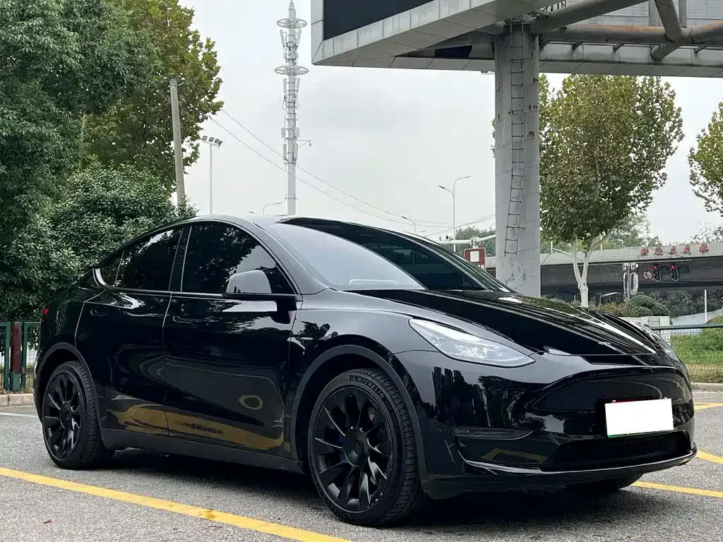 Tesla Model Y — фото 5