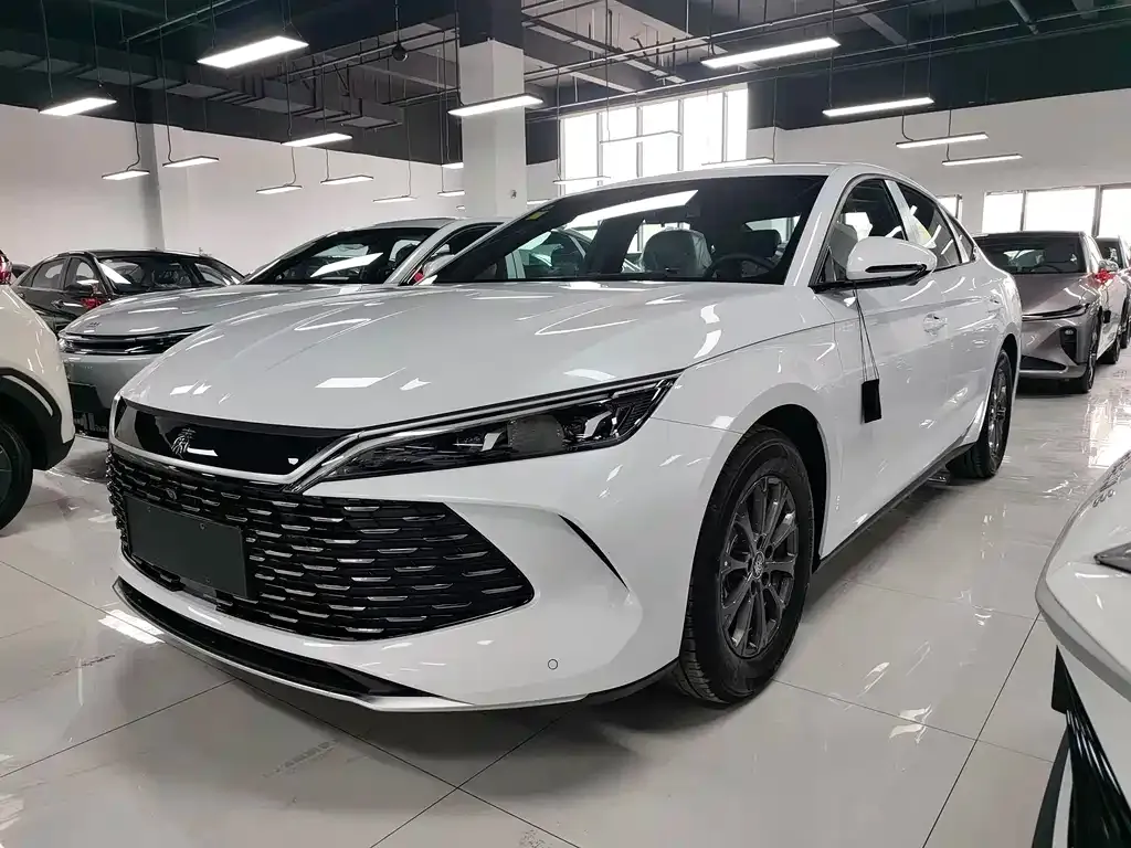 BYD Qin L — фото 1