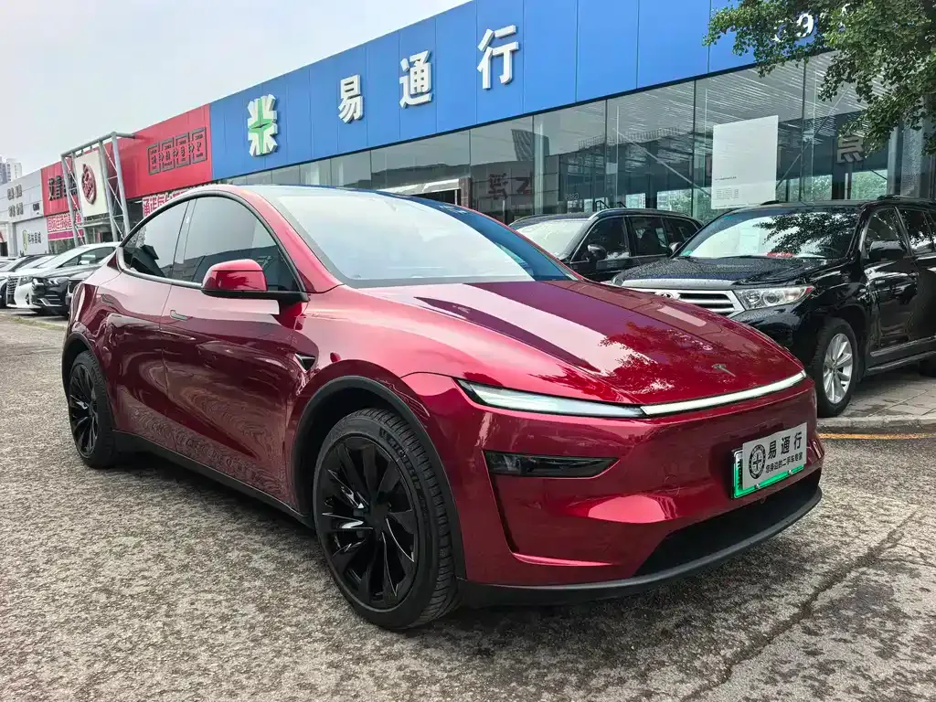 Tesla Model Y — фото 10