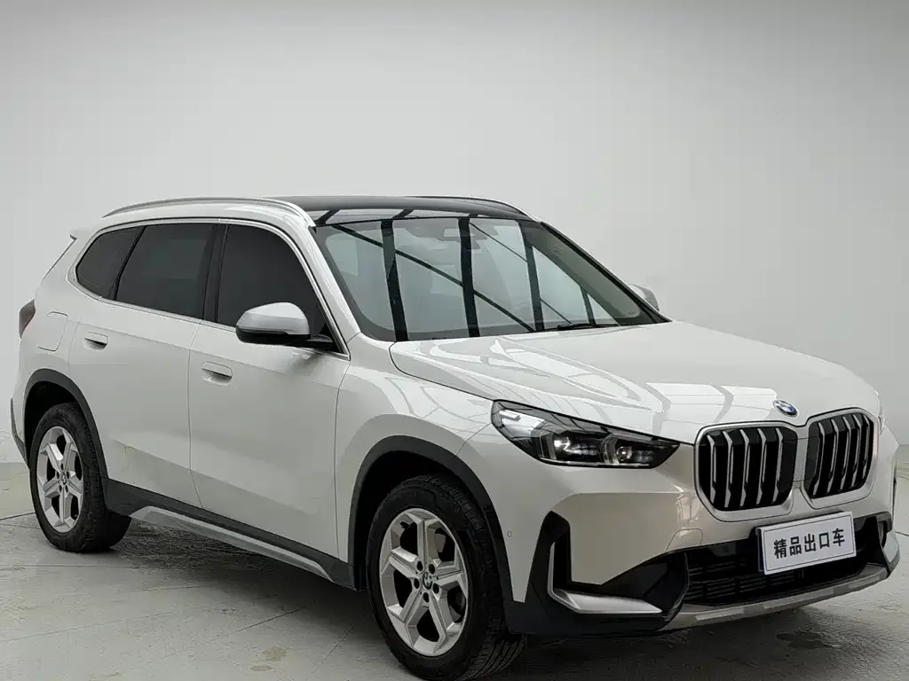 BMW X1 — фото 10