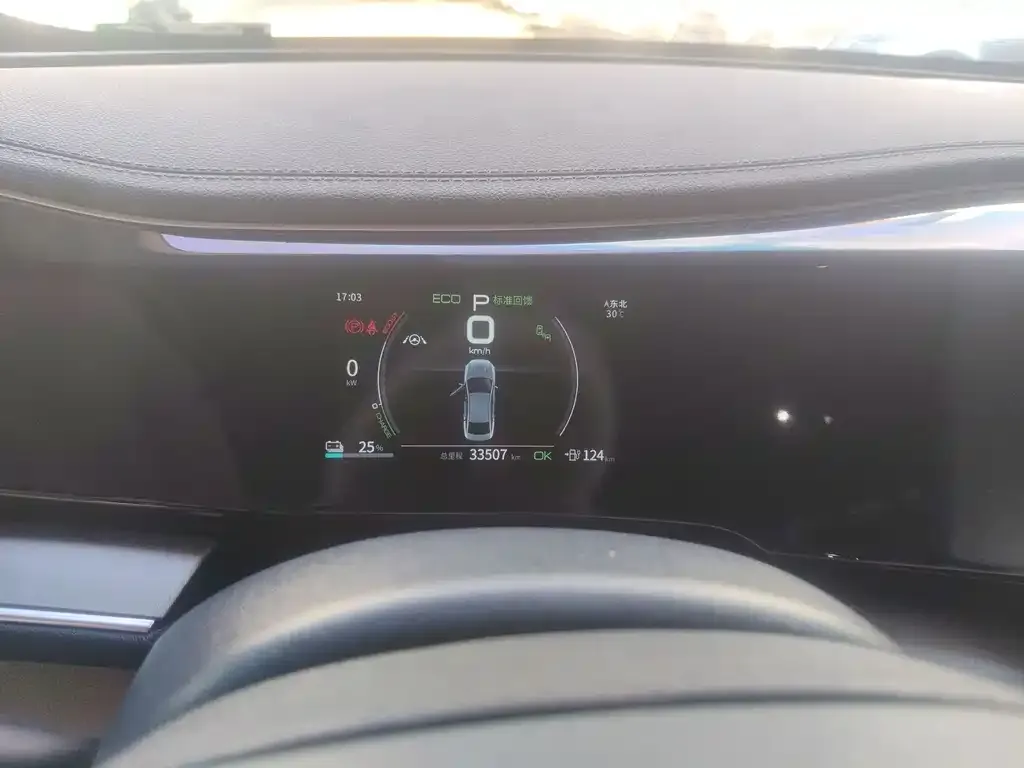 BYD Qin PLUS 2022 из CN, фото 2