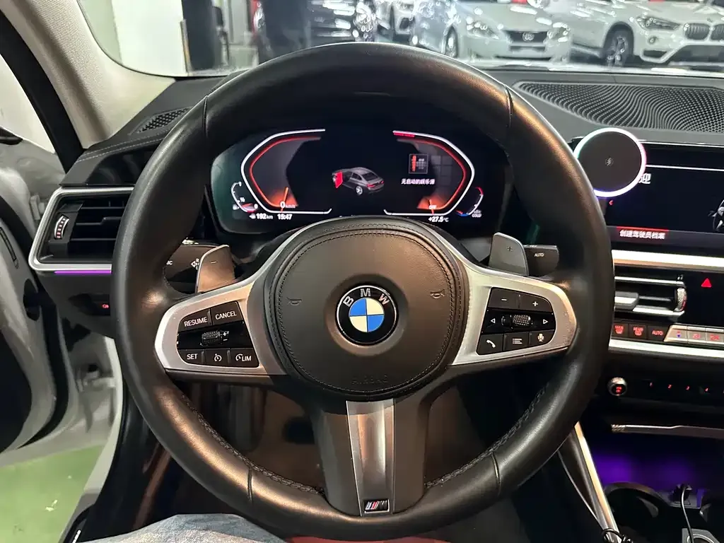 BMW 3 Series 2022 из CN, фото 7