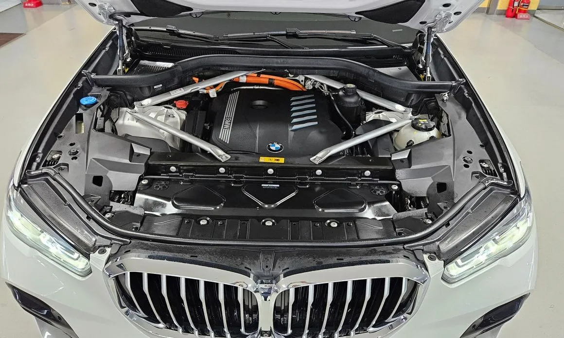 BMW X5 2021 из KR, фото 6
