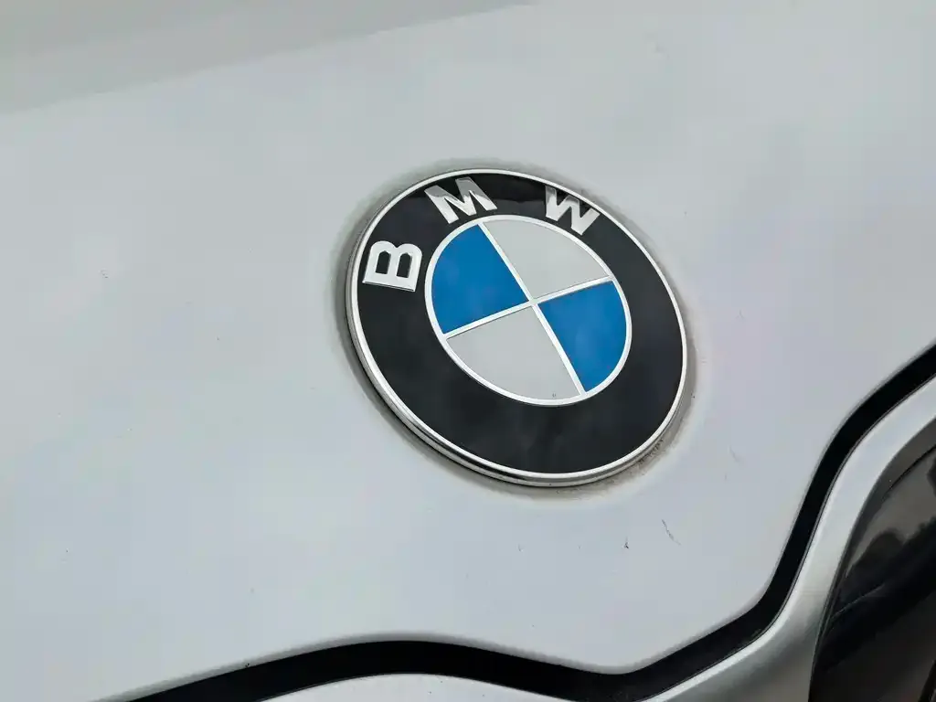 BMW X1 2024 из CN, фото 2