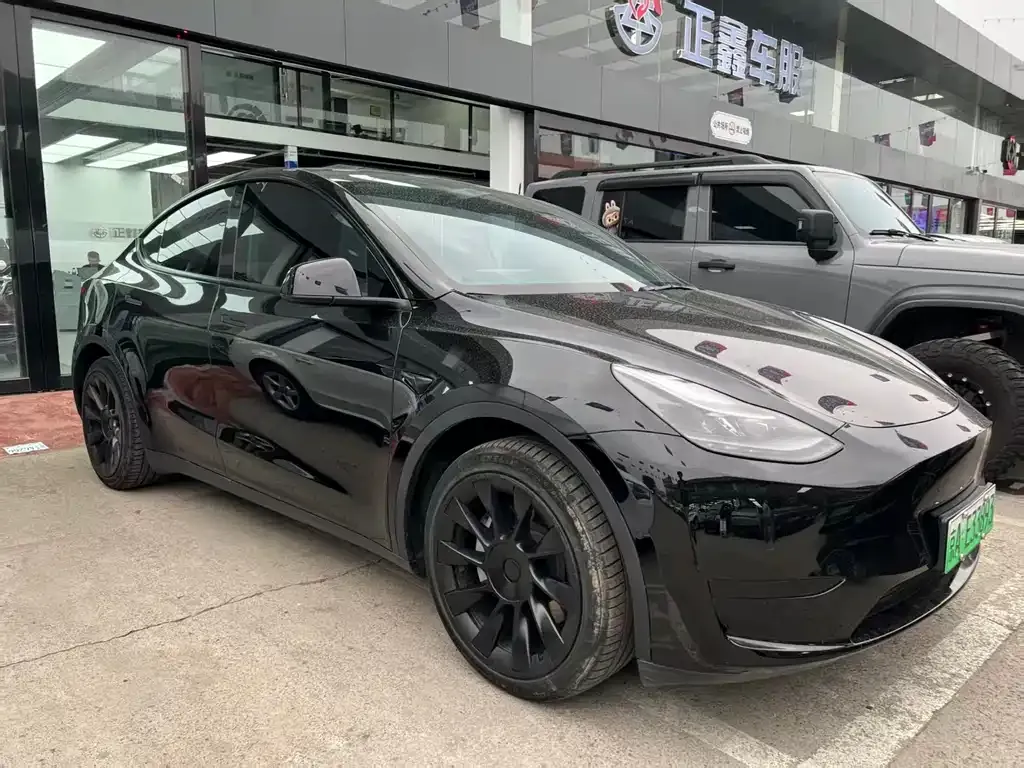 Tesla Model Y — фото 1
