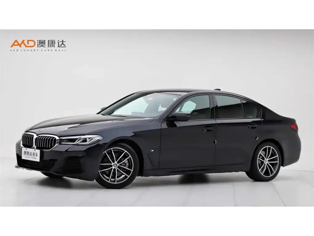 BMW 5 Series (Import)