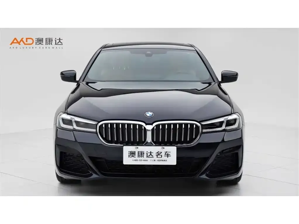 BMW 5 Series (Import) 2023 из CN, фото 5