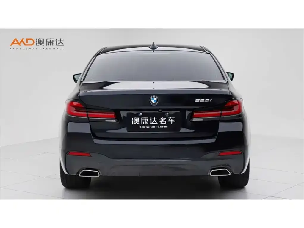BMW 5 Series (Import) 2023 из CN, фото 8