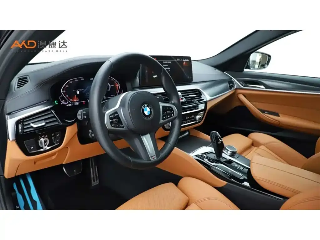 BMW 5 Series (Import) 2023 из CN, фото 7