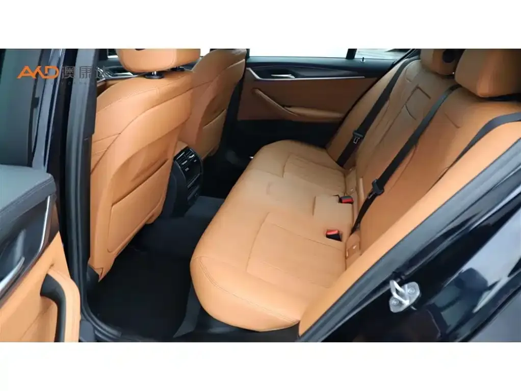 BMW 5 Series (Import) 2023 из CN, фото 6