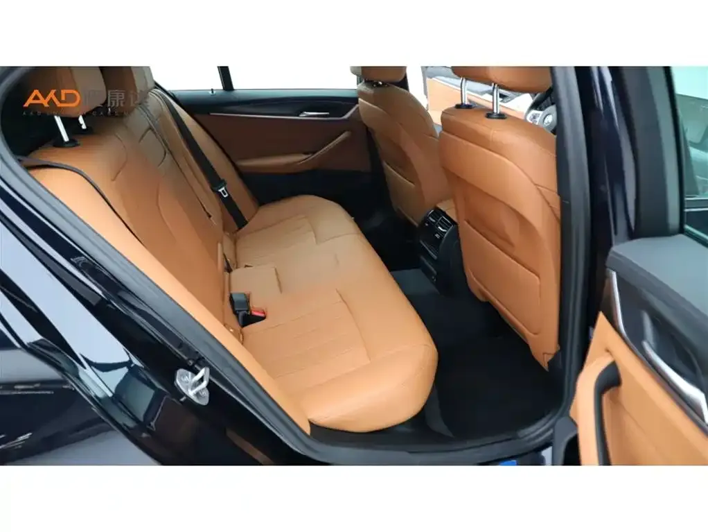 BMW 5 Series (Import) 2023 из CN, фото 10