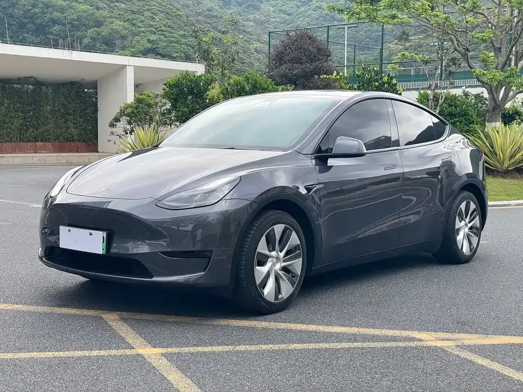 Tesla Model Y — фото 1